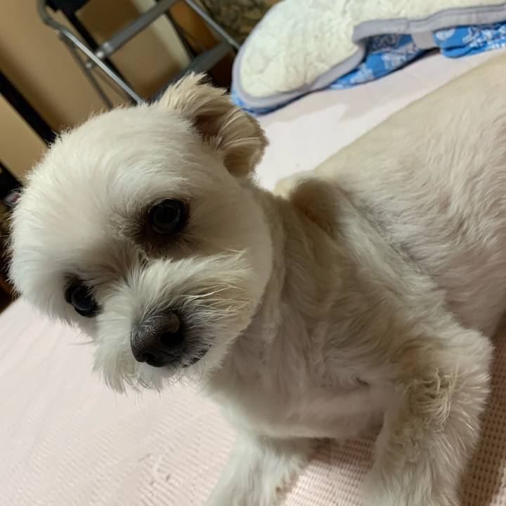 1b5b86c0 5561 409b aef8 f1a301f2a1f7 1630493647191