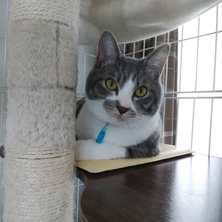 1b5b9629 18a9 4790 8f3c 8e43357af0e3 1586309965548