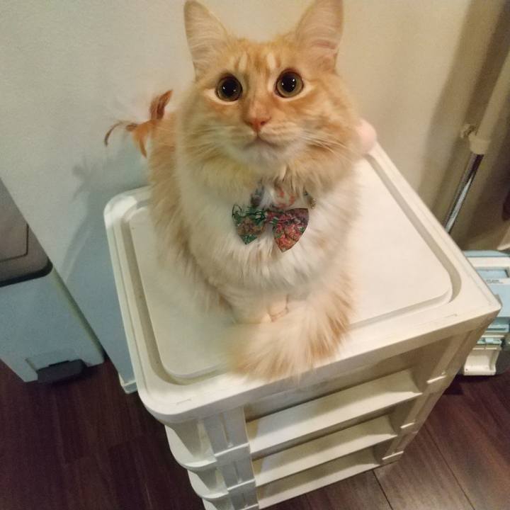 1b5ba54b c12d 4721 8430 5aab71194174 1642110111390