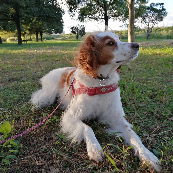 1b5bbe05 3e59 441f 989d f7f814255785 1633089118002