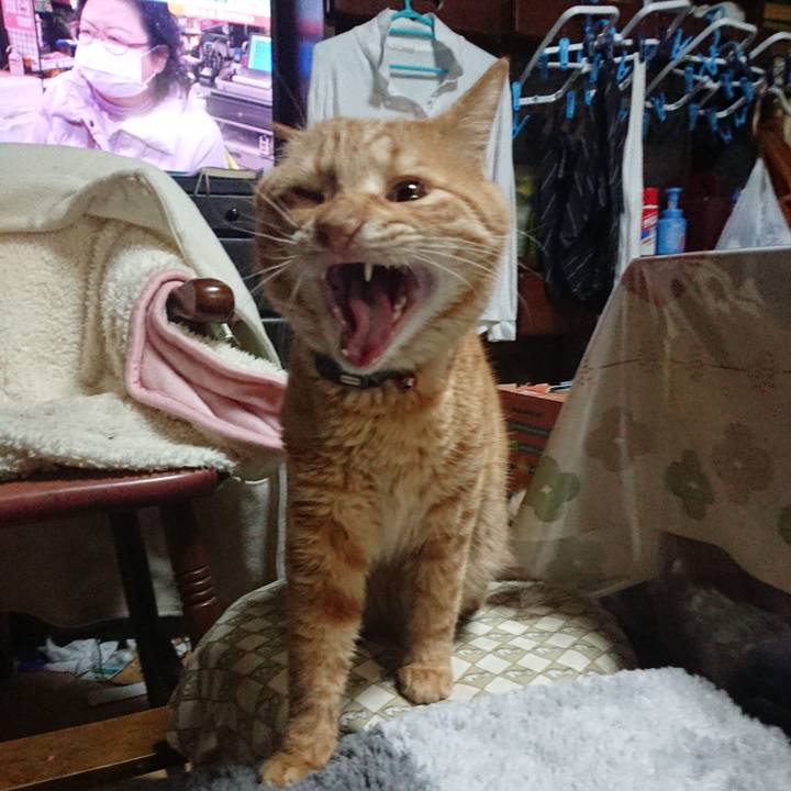 1b5bd56e 12d3 4451 993c 1aff0c7554a8 1641462100827