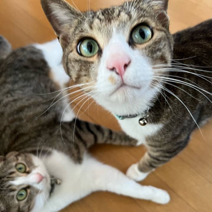 1b5c008d 49b0 48cf 83ef 4a99a86d20d9 1718320209785