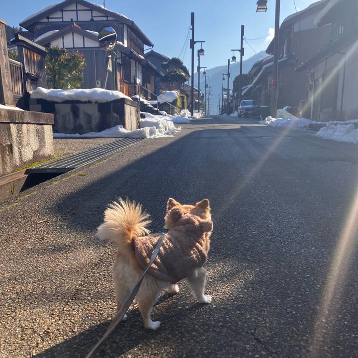 1b5c09d3 b9fb 4bfb 8ecc b25542646984 1766990326123