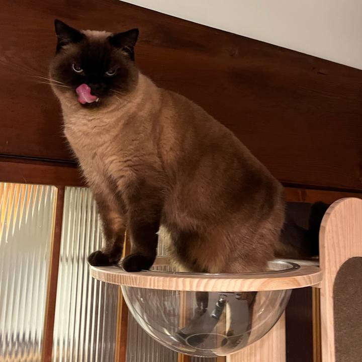 1b5c0f1d 6aaa 44af 9ede 30f91b551601 1712315685102