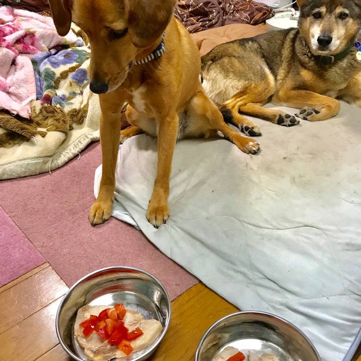 1b5c239b b8f5 409d bc8f 1dca972fdfb0 1526040114903