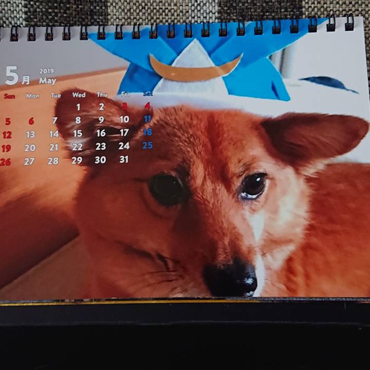 1b5c374a 52b8 4587 a12e 509837085ed5 1556686100850