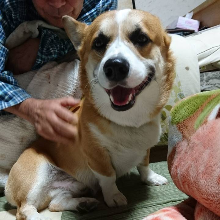 1b5c3a00 a9b6 46f5 ab11 c4ebd4086593 1607670534079