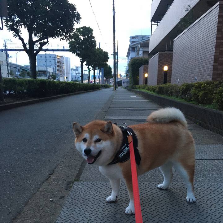 1b5c4c52 9b69 407b af7e 5dd80b724977 1594550907297