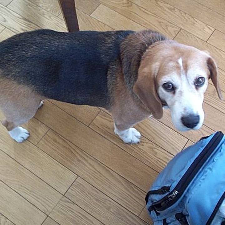 1b5cd62f a8f7 4870 ba77 6331699e5089 1637192701755