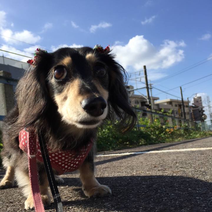 1b5cec89 ea23 47e6 b57b f99652000120 1574127123561