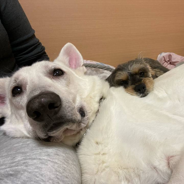 1b5d1f3c 1bcf 4b23 bb70 8fcd75fab4f4 1579231333352