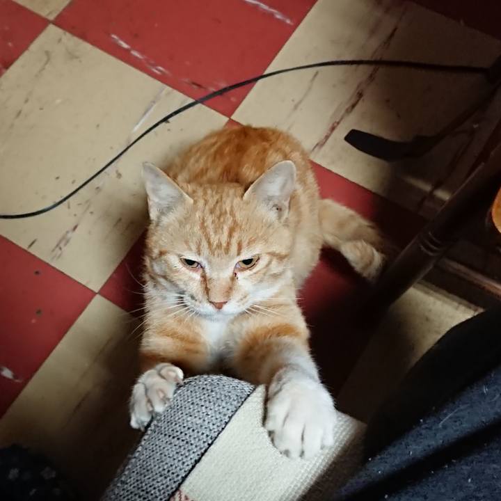 1b5d31ba dc39 43cb b70d a944205186c5 1557519859231