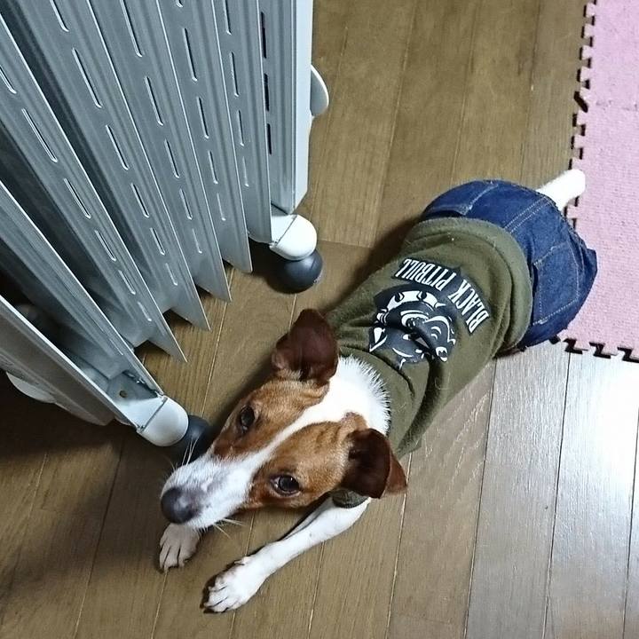 1b5d3ae5 4df3 4b0e bc7b 97ea27d2a763 1546958386262