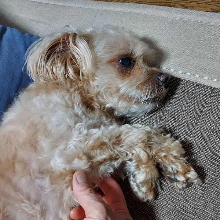 1b5d7971 1753 4033 97e2 14b397be9dd3 1752927714733