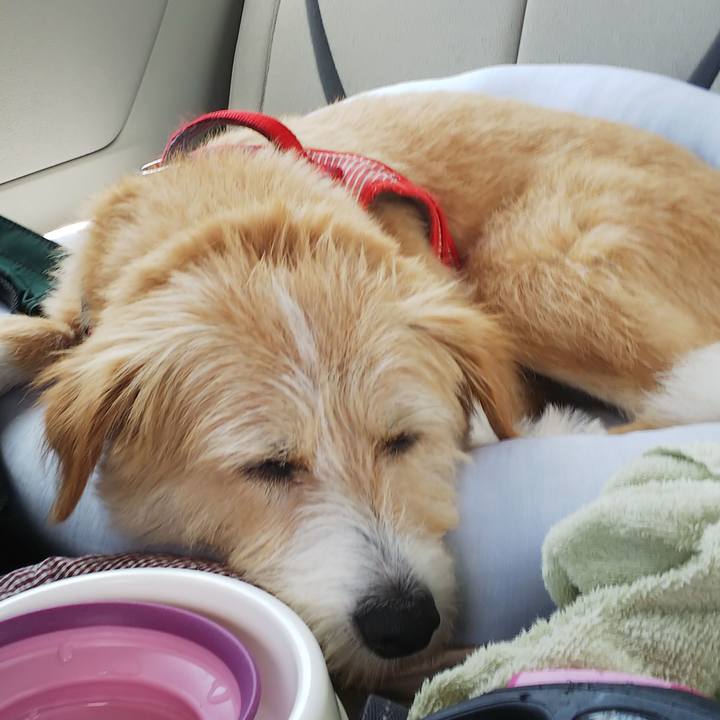 1b5da720 af7d 402a 84ef 73e1b9f5f04d 1563941262142