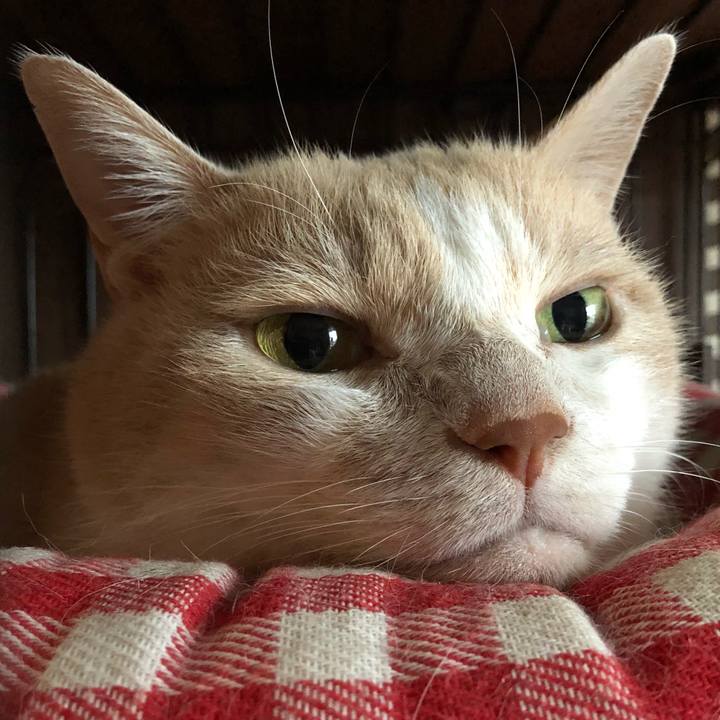 1b5dc5ec e1be 4de5 8aba 7741378d7131 1510112757207