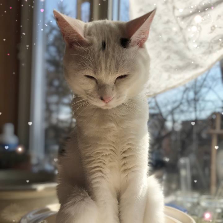 1b5ddfd1 2af6 46f8 84a8 49aee95b6927 1584751396759