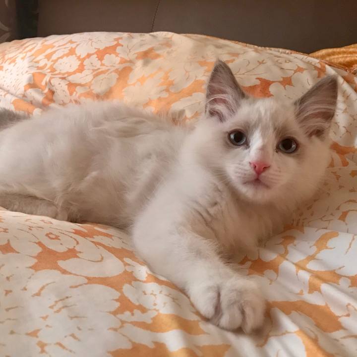 1b5e0086 f089 4f78 acad a1a8de446bc4 1591147393543