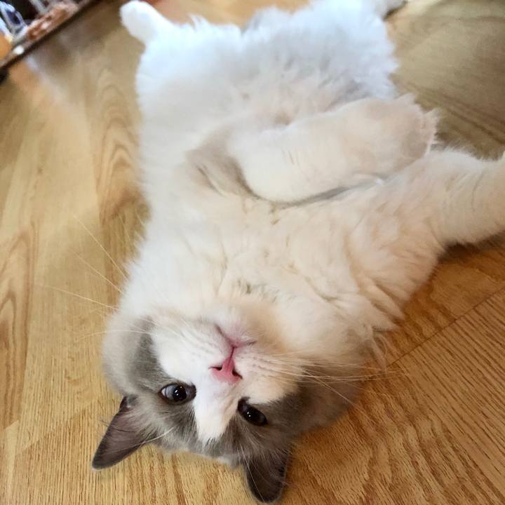 1b5e15fb 9204 4413 9e29 3cbe2ddff15e 1592265191524