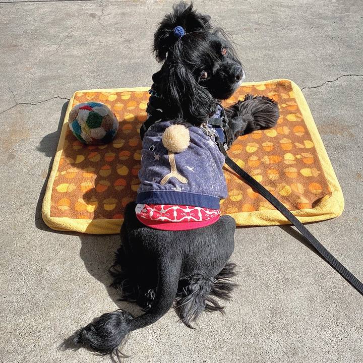 1b5e2123 ba1a 44d7 aad3 95cde972d7c4 1582525240731