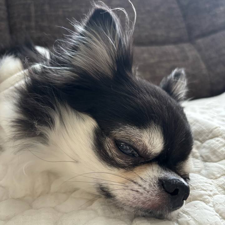 1b5e2289 6b29 45eb b0ce 25b62d78ba14 1730565823276