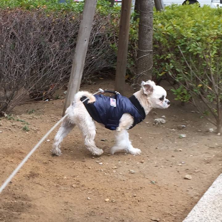 1b5e688e 036c 430a 8f4a 04e1268db0f5 1547289704567