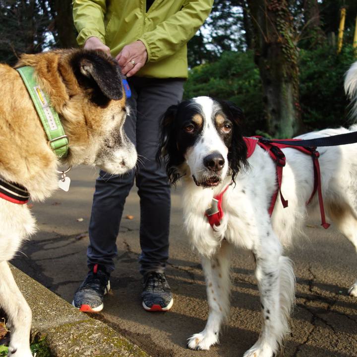 1b5e69e2 2147 4247 a417 3d61fa863be4 1572481692256