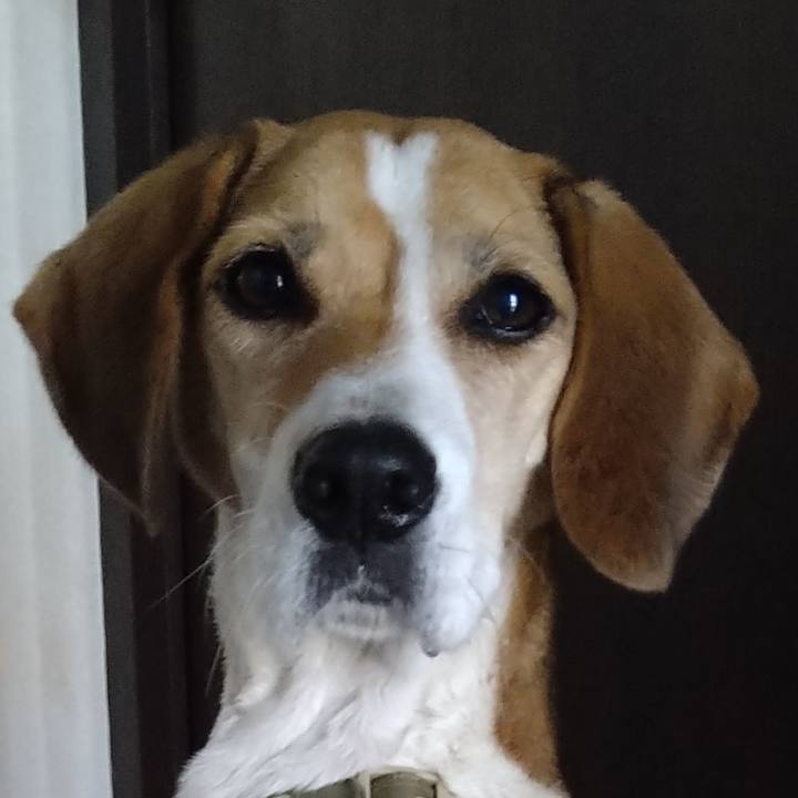 1b5ebace e94f 4289 a408 38e1c562bf71 1667658957642