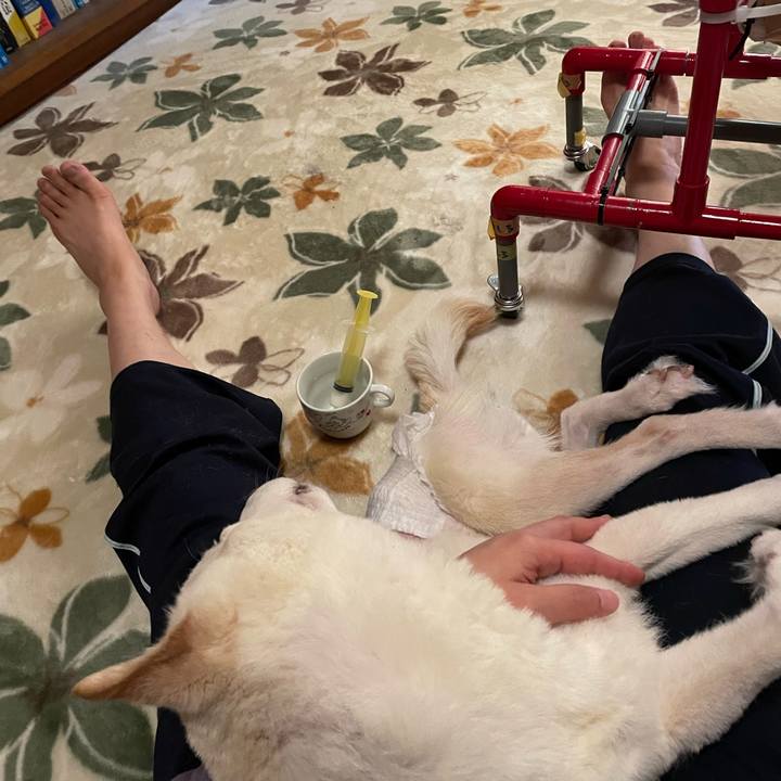 1b5ec040 399f 4d29 a55c 23fc3008acc2 1671575231887