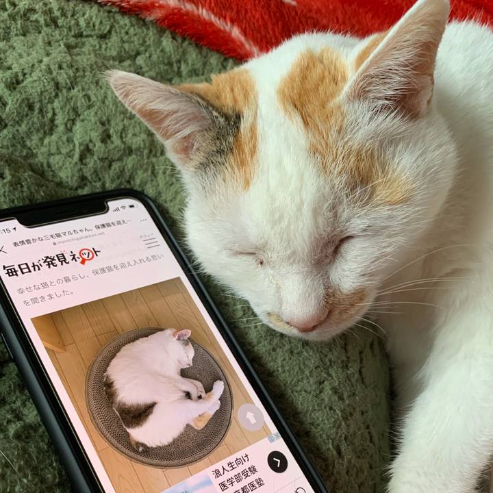 1b5ecc64 628c 4e78 aa8f 89a215796811 1617144397125