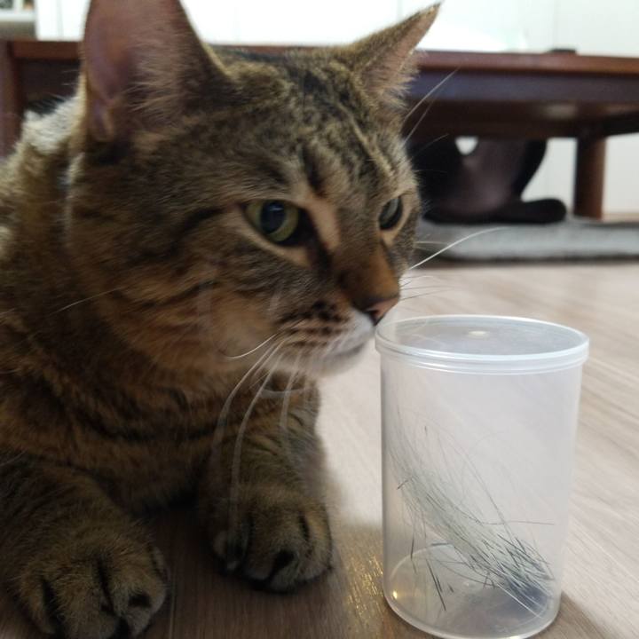 1b5ee51c 49fb 470c 91cc 1790a6267e8e 1576618034549