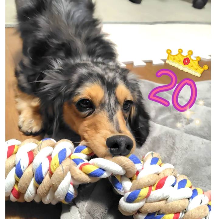 1b5eec41 c1d2 41a4 9a67 dc0f7bbcab2f 1742085578116