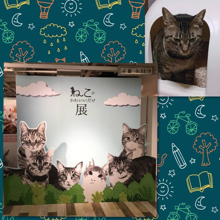 1b5ef116 c854 438c 9d6b 612c65974e5c 1563802602260