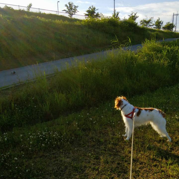 1b5ef886 f001 43da aefa 09b082968626 1558436761505