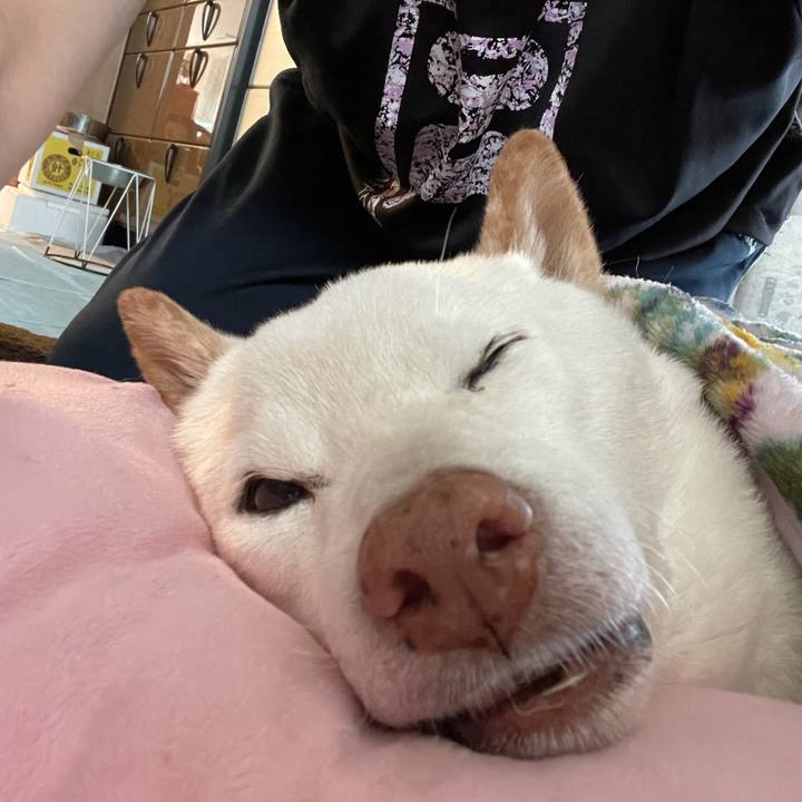 1b5f2f82 ce87 4332 b5c2 e9adeb856a0e 1637476858366