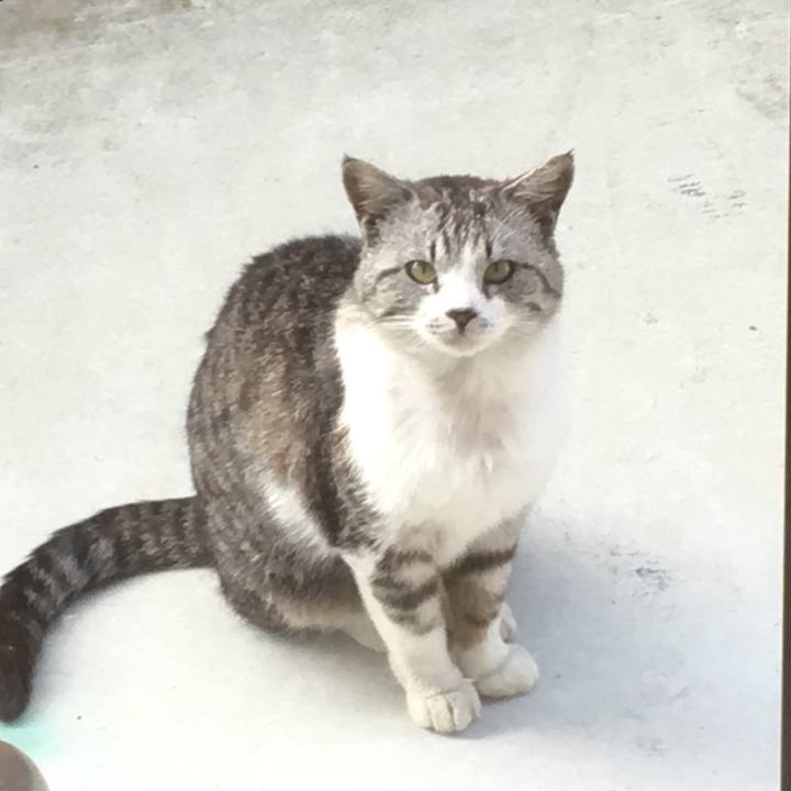 1b5f6f28 331d 4763 a480 5990305a87d7 1526595431016