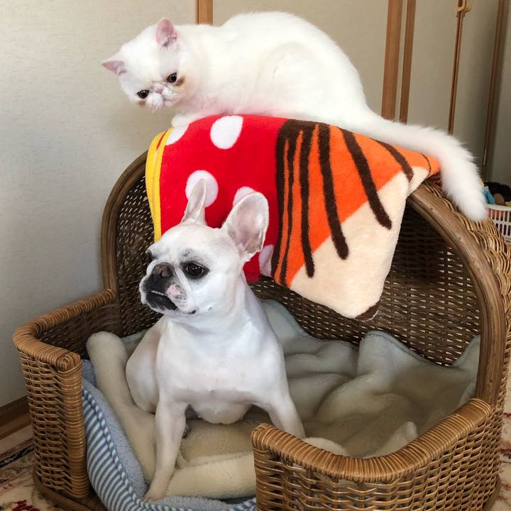 1b5f705b 3d0d 4d0c ad72 37f0e60e4495 1554605897145