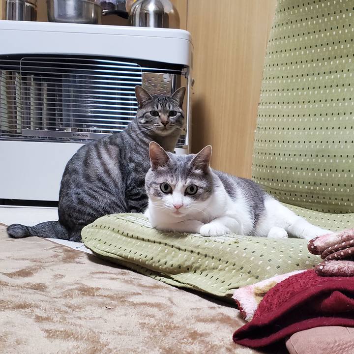 1b5f97a7 d209 4c68 ba93 adfb87610b1d 1710138910728