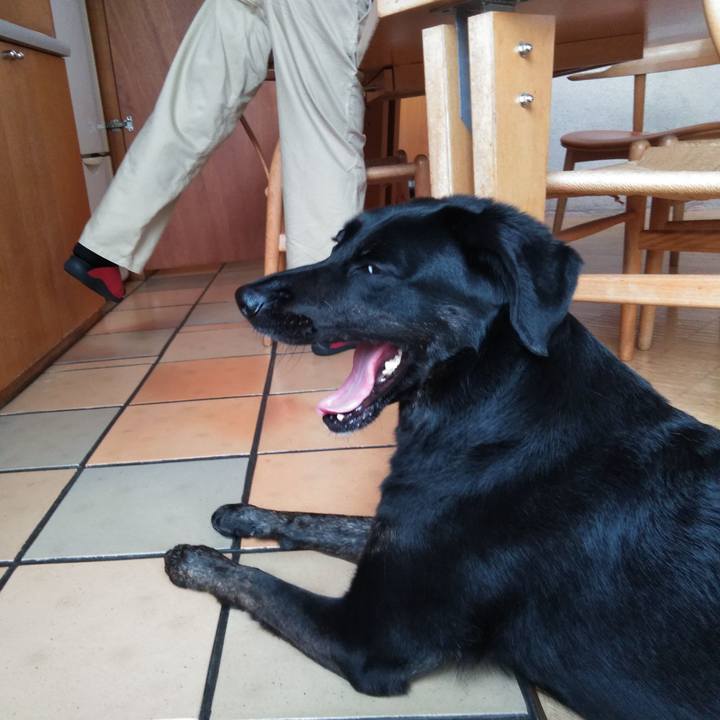 1b5ffdd4 c9cf 406b a9d1 fb4dffbc67cf 1592537515287