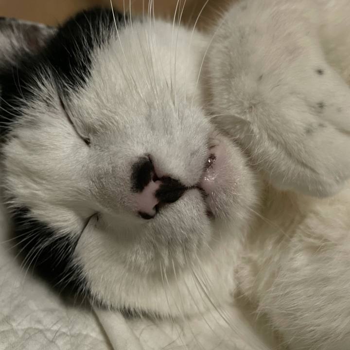 1b6043eb 0acd 4e51 b7ca 33402ad4a201 1618078653417