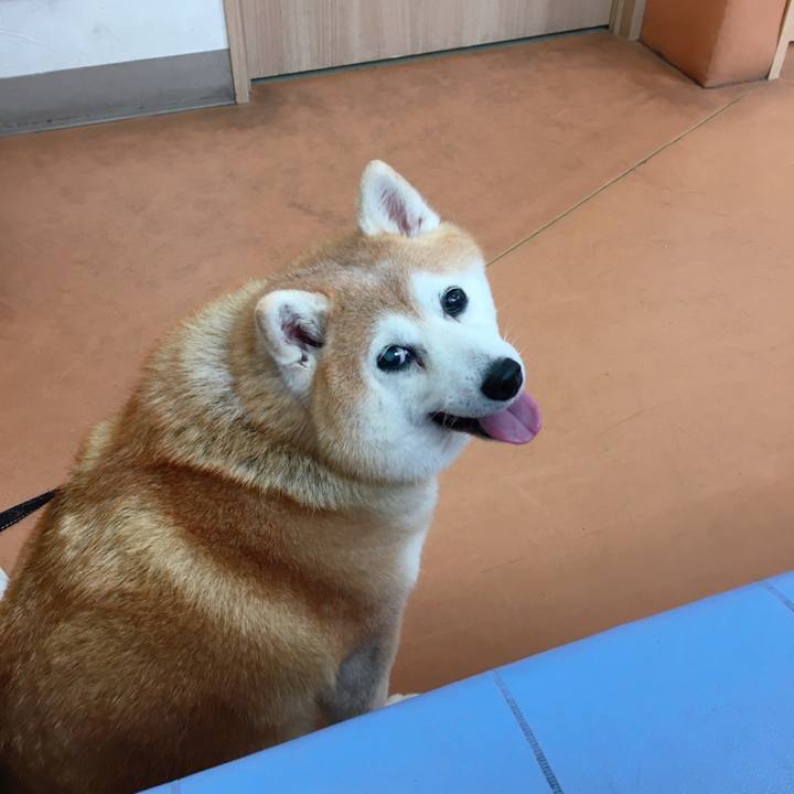 1b6078ad 34d6 49b5 976d b2a1e0ecf79e 1594707226952