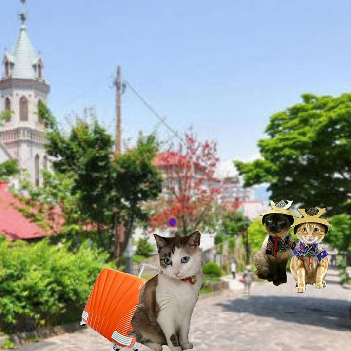 1b6082df fc3c 44c3 a91e 0e69be5248fa 1525564199834