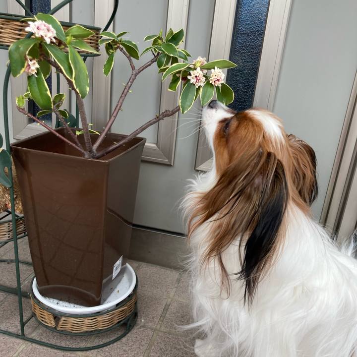 1b60b692 6fba 46ba 9666 fb6b3ffadb47 1677372954560