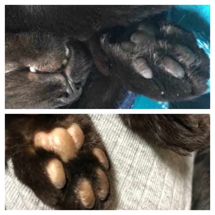 1b60ef90 7bf3 4545 a426 da6e09815bb9 1558528453145