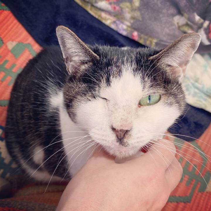 1b610323 c628 47e3 a195 b122118c79c2 1578213540506