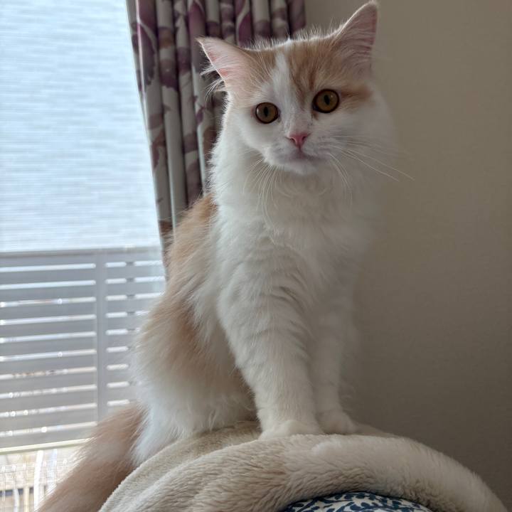 1b615785 fdec 4ddd 9efc e1f2e54c235d 1758598076105