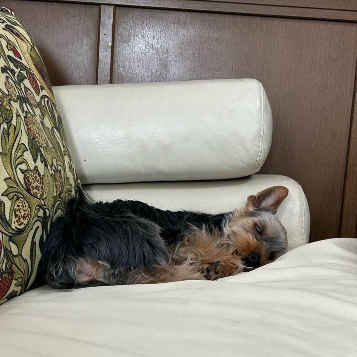 1b616642 9c90 4ce3 8317 910a39c2d2e6 1747526404707