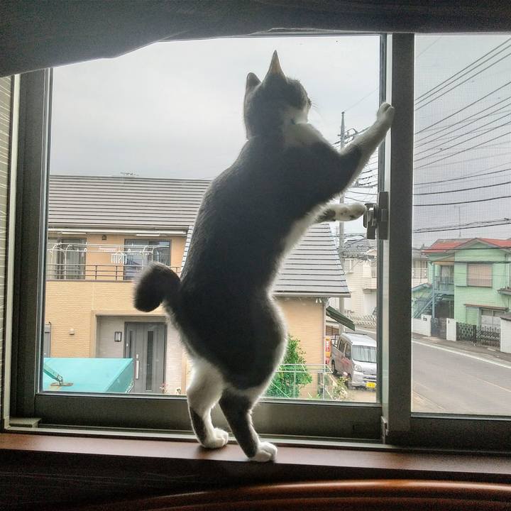 1b618fee 6cbc 448c a247 314ef9d93538 1623016373978