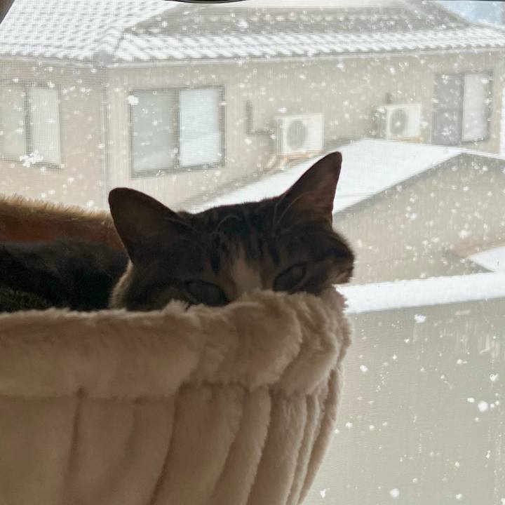 1b61a261 19ae 4e60 96ae 1bf2b661d798 1772927118760