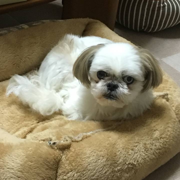 1b623eff defe 420f b9fd ab858bbd4f7c 1508926700814